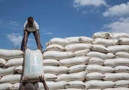 World Food Programme, Kenya Food Crisis